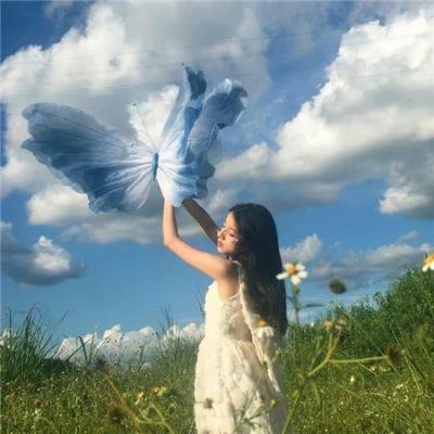 我的英雄学院第五季